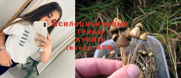 ALPHA-PVP Алексин