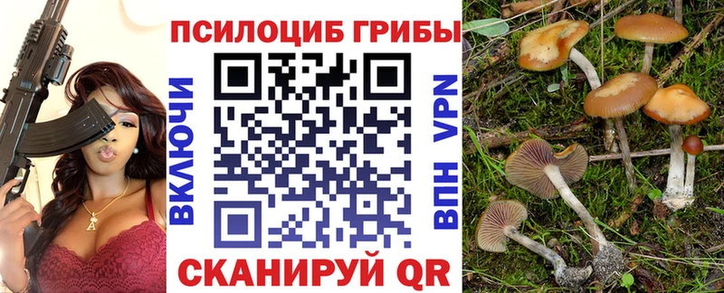 Галлюциногенные грибы мицелий  Новоаннинский 